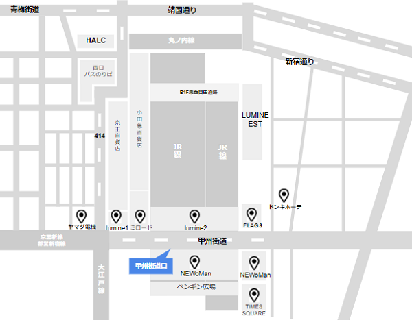 新宿駅甲州街道口の位置マップ