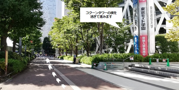 新宿コクーンタワー前の道路