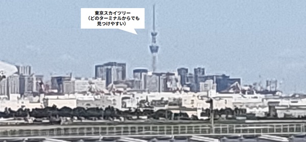 羽田空港第3ターミナルから見える東京スカイツリー